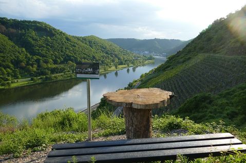 gruen-weiss-mueden-414c54d327bd9d2253b2087625e5acf4.jpg