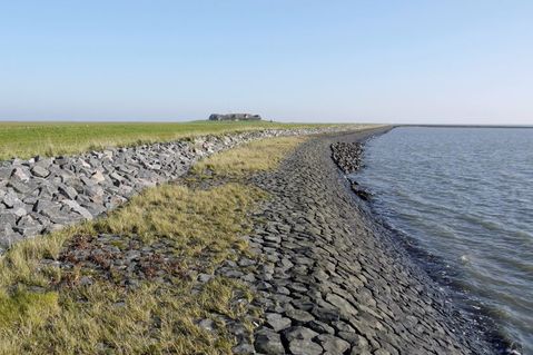 wwf-deutschland-5-930b1324aa877d90df66385049dd8521.jpg