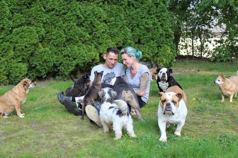 stevies-hundesenioren-hospiz-7529029ed3691c506f3c69e2ac66243f.jpg