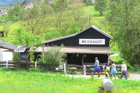 pferde-bewegen-menschen-df541b03842e1f0aff566e9641a693ee.jpg