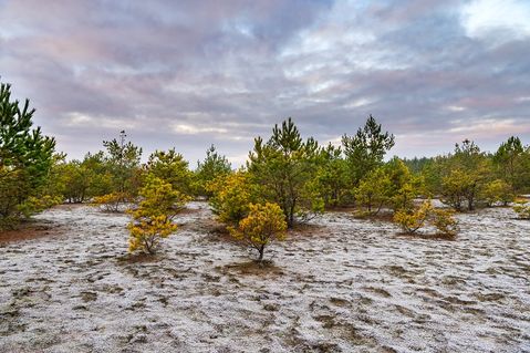stiftung-naturlandschaften-brandenburg-eedc82809f9579480fcfe7eb98e20b36.jpg