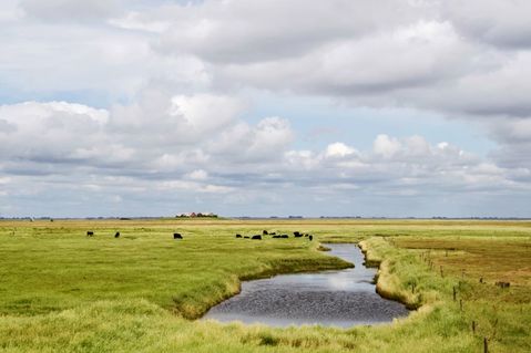wwf-deutschland-5-0fccc1bd51d0469f7246b9fe98046c90.jpg