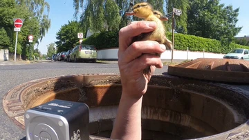 tiernotruf-e-v-6052753fff1848c1e1697990e2befb00.jpeg