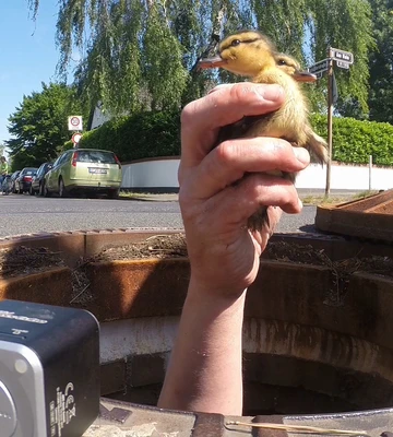 tiernotruf-e-v-6052753fff1848c1e1697990e2befb00.jpeg