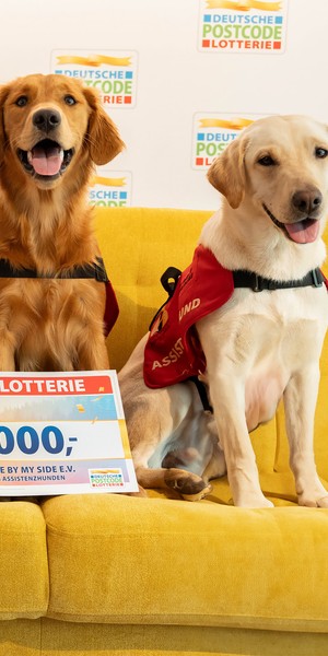 Zwei Golden Retriever sitzen auf einer gelben Couch und schauen in die Kamera. Im Hintergrund ist eine Logowand der Deutschen Postcode Lotterie zu sehen. Zwischen den Hunden ist ein Scheck der Deutschen Postcode Lotterie in Höhe von 30.000 Euro.