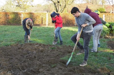 Der Emshof ist ein Schulbauernhof, auf dem Kinder und Jugendliche die Zusammenhänge zwischen Umwelt, Landwirtschaft, Ernährung mit allen Sinnen erleben und erfahren. Der Emshof ist ein Schulbauernhof, auf dem Kinder und Jugendliche die Zusammenhänge zwischen Umwelt, Landwirtschaft, Ernährung mit allen Sinnen erleben und erfahren.