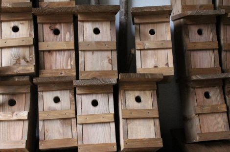 Der Bau von Nisthilfen nicht nur fachlich sinnvoll, er ist oft der erste Einstieg in die Naturschutzarbeit. Der Bau von Nisthilfen nicht nur fachlich sinnvoll, er ist oft der erste Einstieg in die Naturschutzarbeit.
