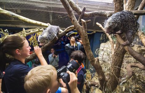 Beim Projekt 'Naturschutzbotschafter', das in Zusammenarbeit mit dem Zoo durchgeführt wird, soll den Besuchern das Thema Naturschutz anschaulich vermittelt werden. Beim Projekt 'Naturschutzbotschafter', das in Zusammenarbeit mit dem Zoo durchgeführt wird, soll den Besuchern das Thema Naturschutz anschaulich vermittelt werden.