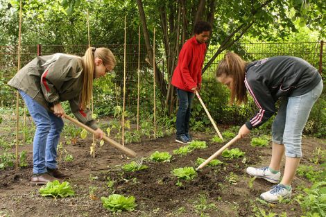 Die Deutsche Postcode Lotterie unterstützt das Förderprojekt Tools for Schools von Ackerdemia e.V. mit neuen Geräte-Sets für den Gemüseanbau Die Deutsche Postcode Lotterie unterstützt das Förderprojekt Tools for Schools von Ackerdemia e.V. mit neuen Geräte-Sets für den Gemüseanbau