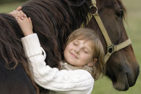 Um die jungen Menschen auf natürliche Art im emotionalen Bereich zu stärken und zu stabilisieren werden Tiere in die pädagogische Arbeit einbezogen. Um die jungen Menschen auf natürliche Art im emotionalen Bereich zu stärken und zu stabilisieren werden Tiere in die pädagogische Arbeit einbezogen.