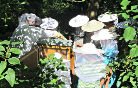 Weil Wild- und Honig-Bienen vielerorts kaum noch Nahrung finden, hat die Initiative 'Bienenretter' ein entsprechendes Projekt ins Leben gerufen. Weil Wild- und Honig-Bienen vielerorts kaum noch Nahrung finden, hat die Initiative 'Bienenretter' ein entsprechendes Projekt ins Leben gerufen.