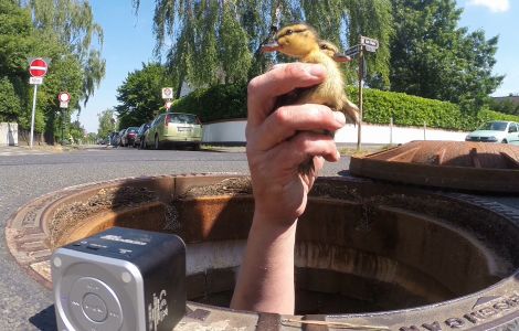 Ziel ist des Tiernotrufs ist es, verletzten oder anderweitig in Not geratenen Wild- und Haustieren schnell und unbürokratisch zu helfen. Ziel ist des Tiernotrufs ist es, verletzten oder anderweitig in Not geratenen Wild- und Haustieren schnell und unbürokratisch zu helfen.