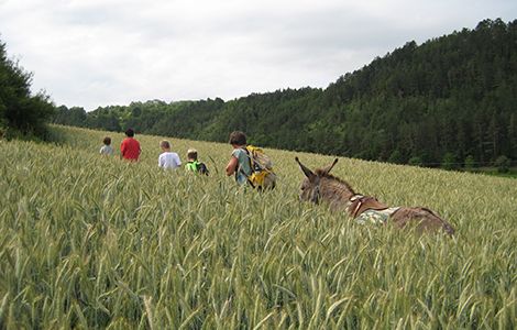 Beim Sommerferien-Waldabenteuercamp bekommen Kinder zwischen sechs und zehn Jahren einen Ausgleich zu dem häufig bewegungsarmen Schulunterricht geboten. Beim Sommerferien-Waldabenteuercamp bekommen Kinder zwischen sechs und zehn Jahren einen Ausgleich zu dem häufig bewegungsarmen Schulunterricht geboten.