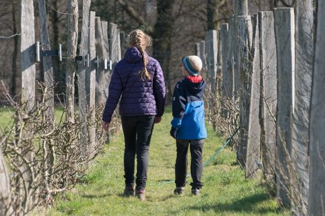 Der NABU sichert nachhaltige Entwicklung Der NABU sichert nachhaltige Entwicklung
