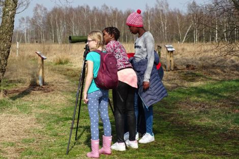 Jugendliche erkunden das Moor Jugendliche erkunden das Moor