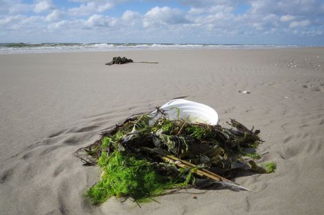 Die Umwelt leidet unter dem Einsatz von Plastik Die Umwelt leidet unter dem Einsatz von Plastik