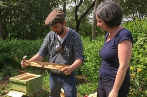 Ein Imker kümmert sich mit den Klienten um die Bienen. Ein Imker kümmert sich mit den Klienten um die Bienen.