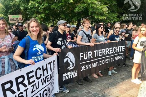 Gemeinsam stark - für eine grüne Erde Gemeinsam stark - für eine grüne Erde