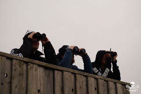 Freiwillige von Sea Shepherd Deutschland bei der Patrouille. Baltic Sea Campaign 2017 Freiwillige von Sea Shepherd Deutschland bei der Patrouille. Baltic Sea Campaign 2017